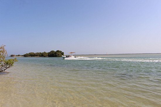 Mangroves d’Al Thakira
