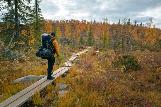 Parc national de Pallas-Yllästunturi