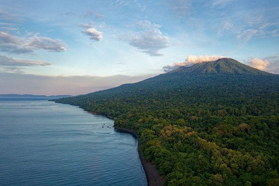 Tangkoko