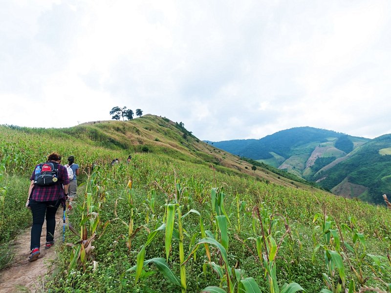 Parc Doi Phu Kha