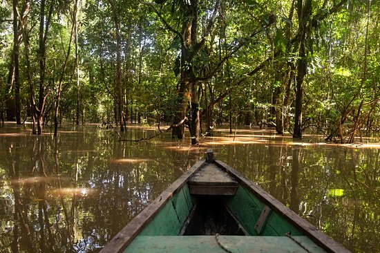 Amazonie colombienne