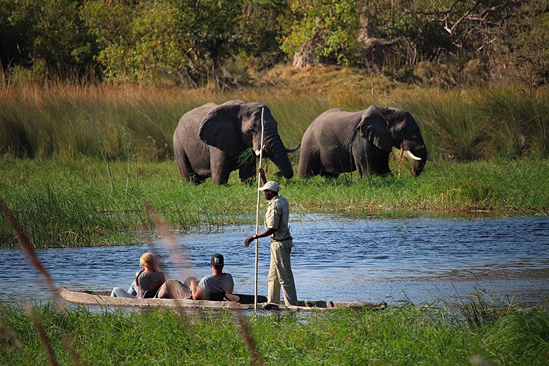 Une balade en mokoro (pirogue traditionnelle) dans les méandres du Delta de l’Okavango