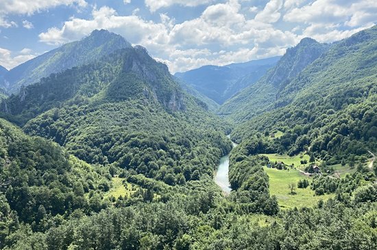 Pont de Đurđevića Tara