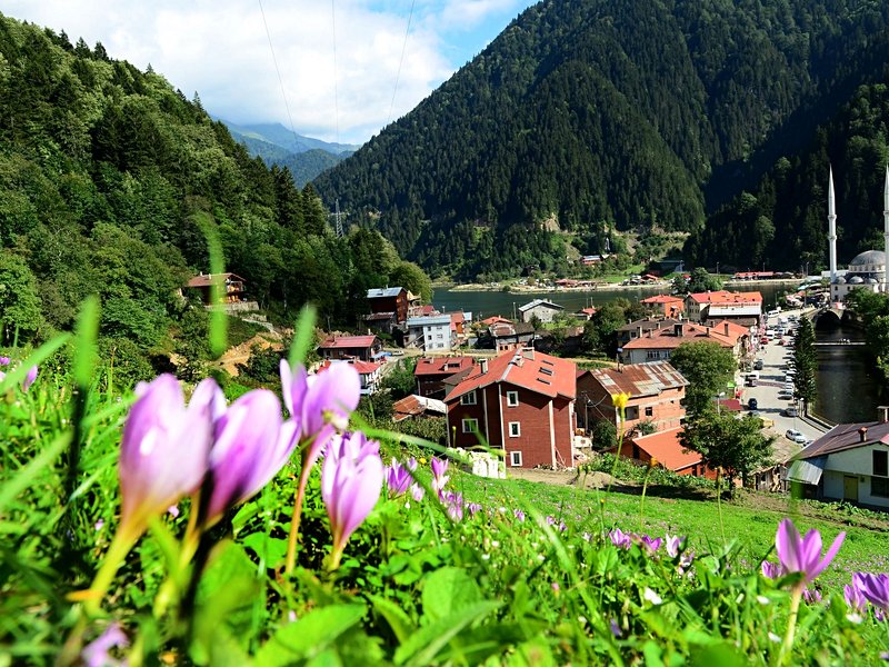 Trabzon