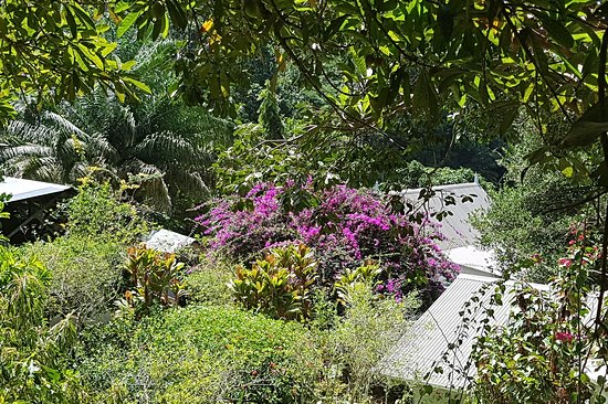 Jardin du Roi