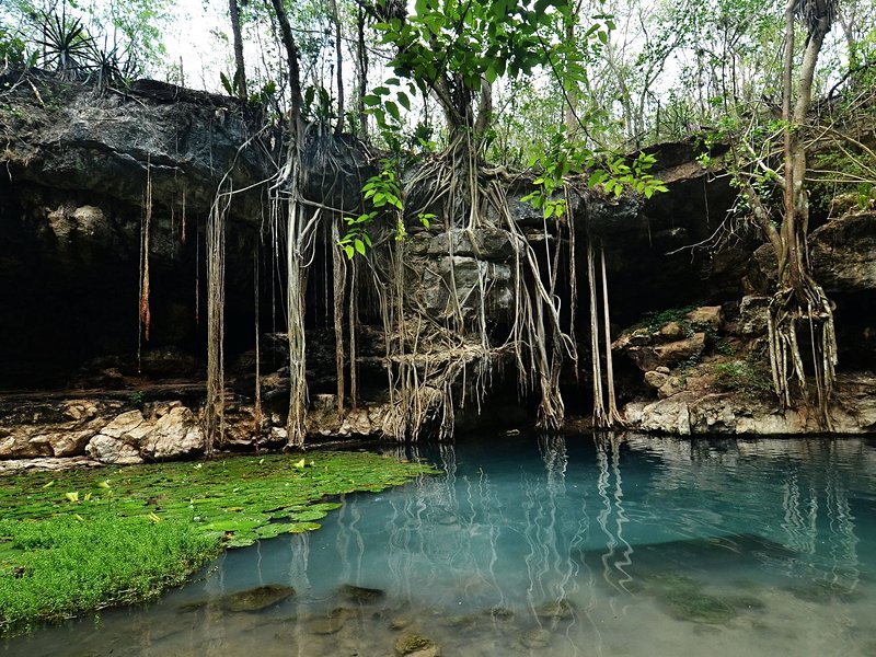 Cenotes X-batun & Dzombakal, San Antonio de Mulix