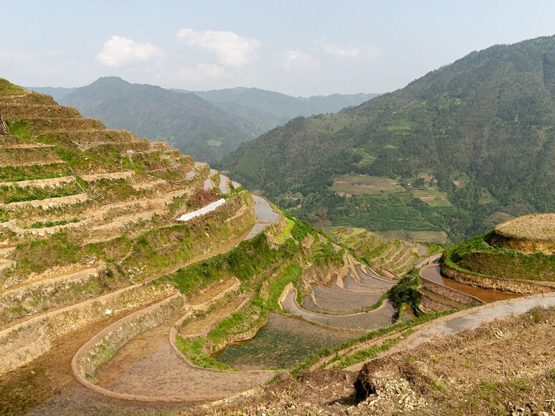 Les rizières du dos du dragon