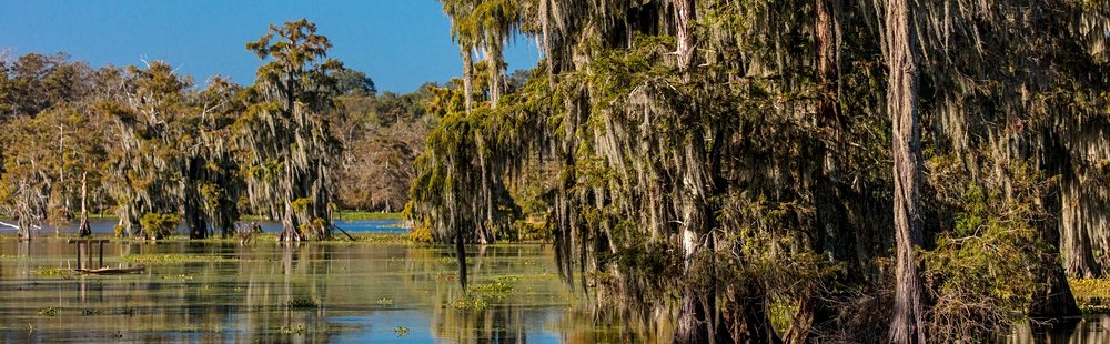 Le pays cajun