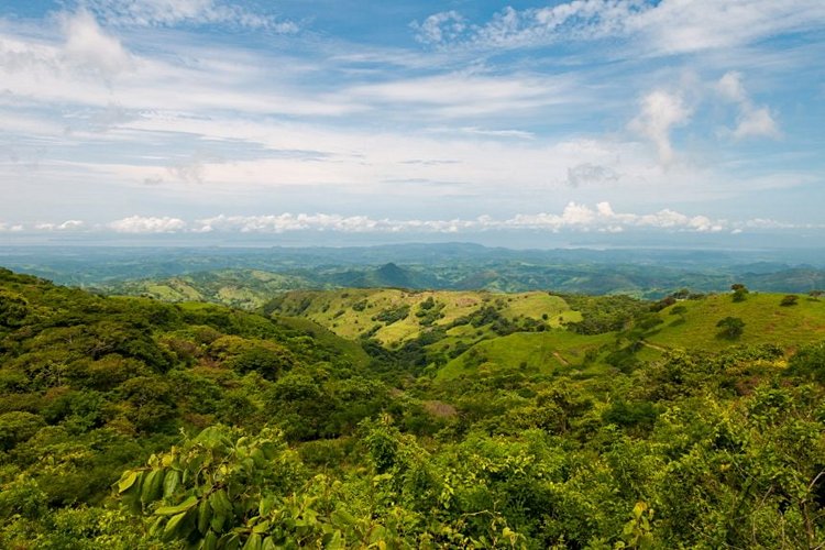 La réserve de Monteverde 2