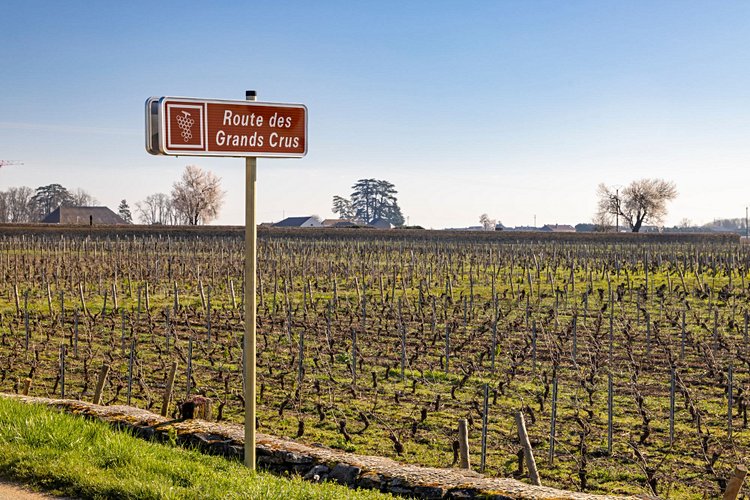 Route des Grands Crus de Bourgogne - France 2