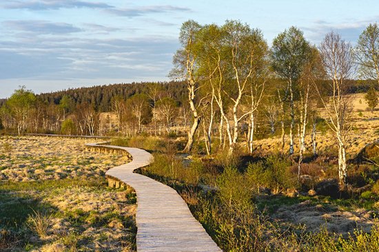 Les Hautes Fagnes