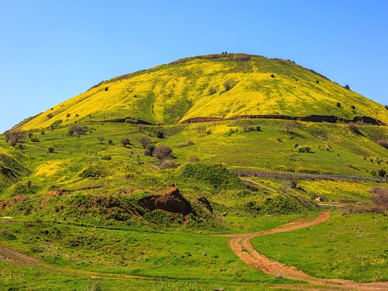 Le plateau du Golan