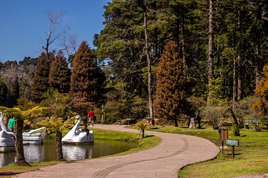 Lago Negro