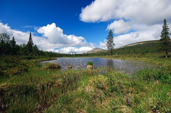 Parc national Urho Kaleva Kekkonen