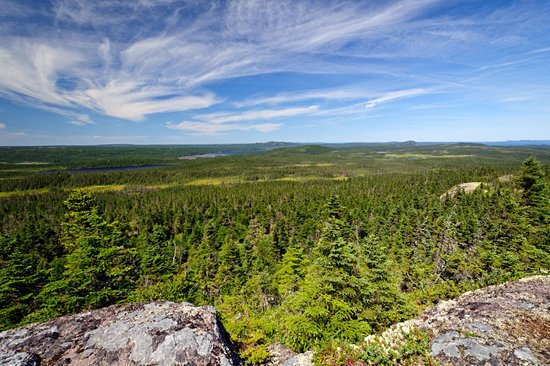 Parc national Terra Nova