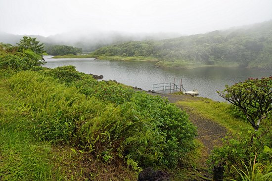 Lac Freshwater