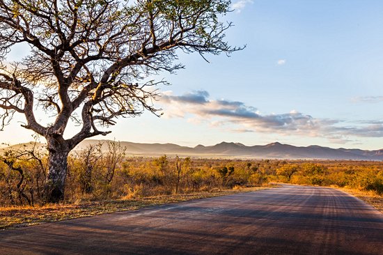 Parc national Kruger