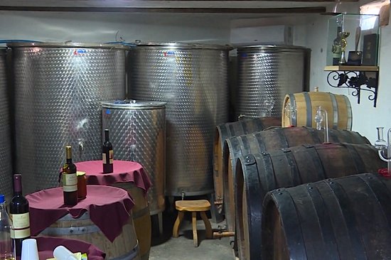 Dégustation de vins à Velika Hoca