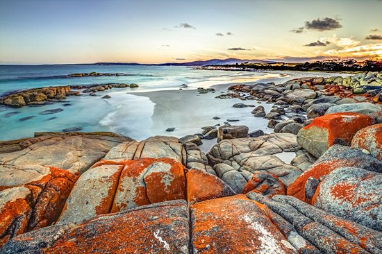 Tasmanie