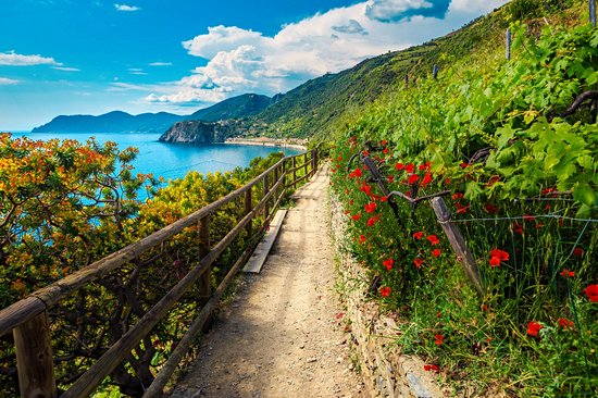 Manarola