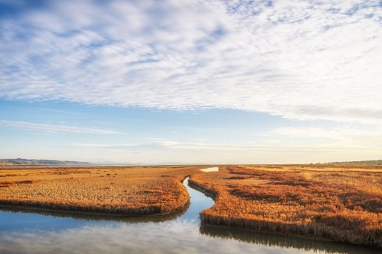 Parc national de la Lagune de Karavasta
