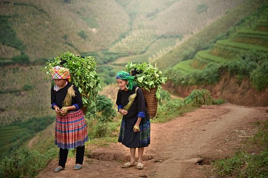 Sapa et les montagnes du nord Vietnam