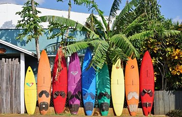 Hawaï, le royaume du surf !
