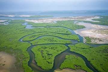 Parc national du delta Saloum