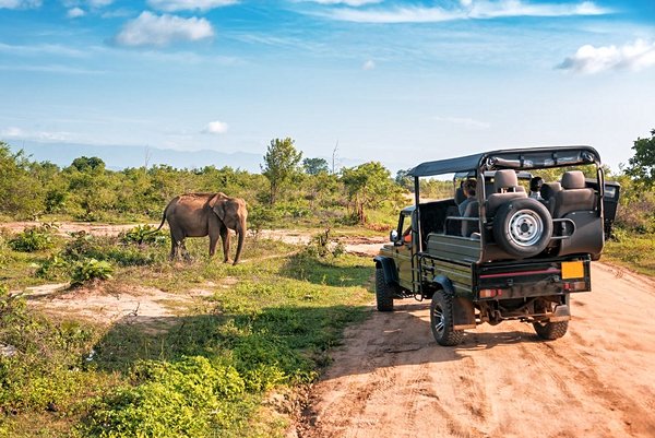 safari Sri Lanka