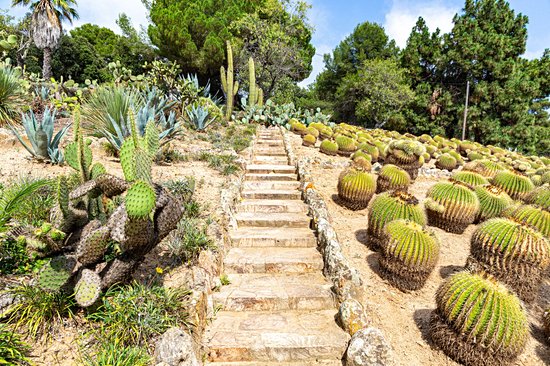 Jardin botanique Pinya de Rosa