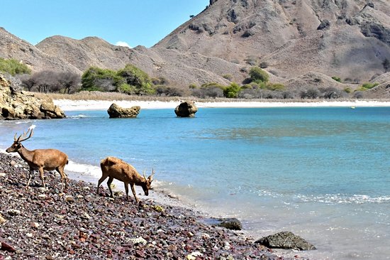 L’île de Padar