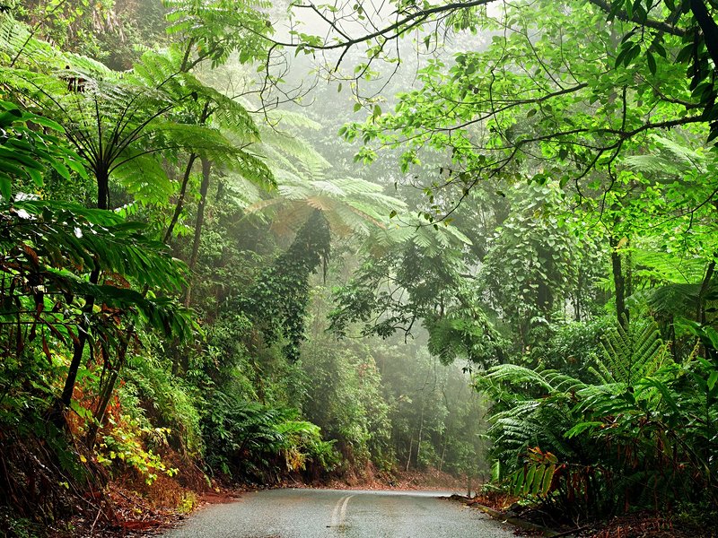 Australie méridionale