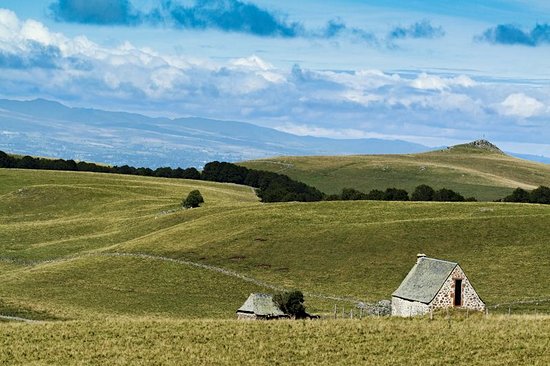 Le plateau de l'Aubrac
