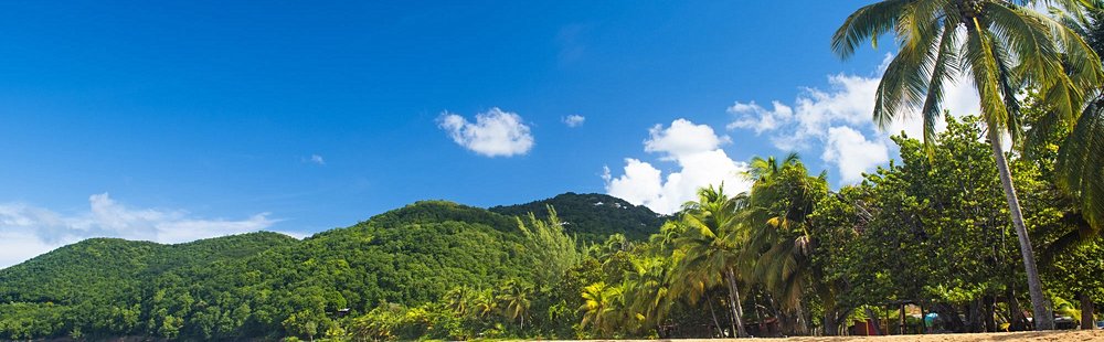La plage de Grande Anse à Deshaies