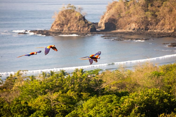 La province de Guanacaste