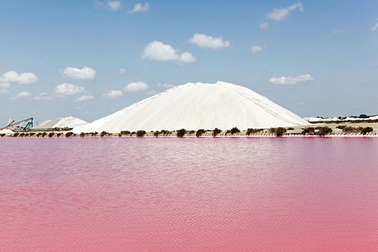 Les salins d’Aigues-Mortes