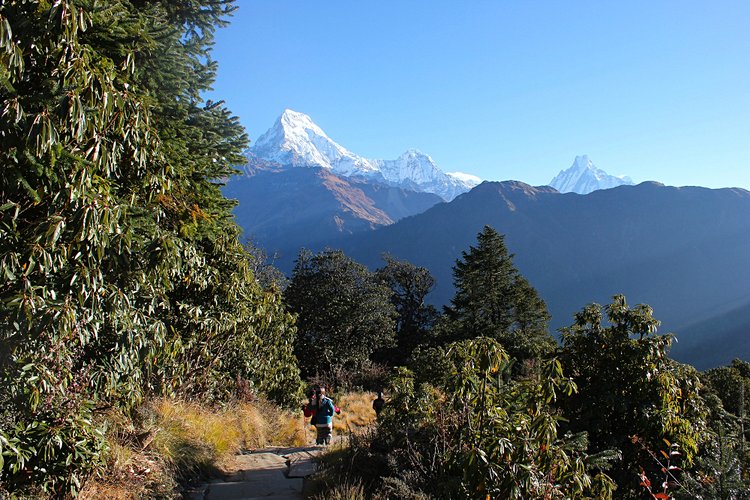 Trek au Langtang