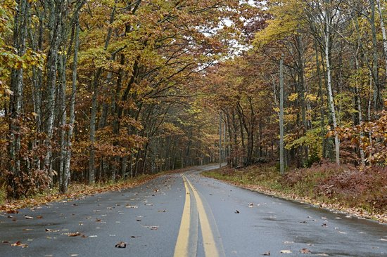 Parc national des Great Smoky Mountains