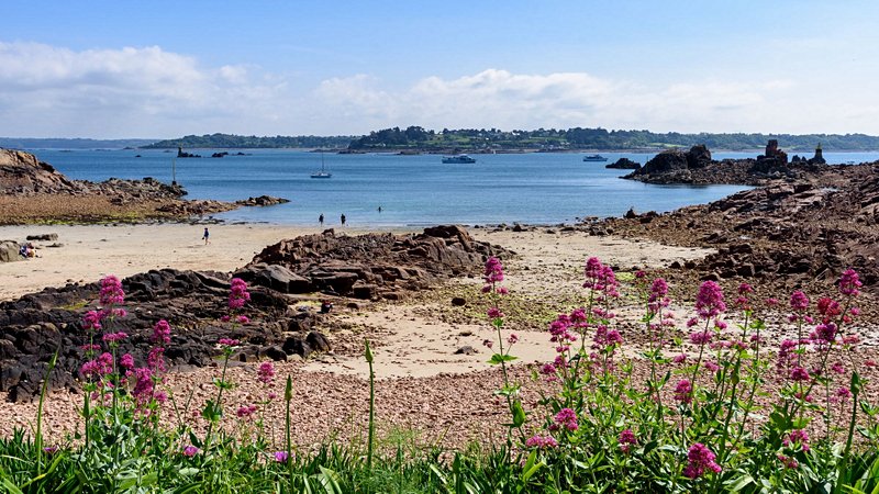plage Plage du Guerzido, île de Bréhat