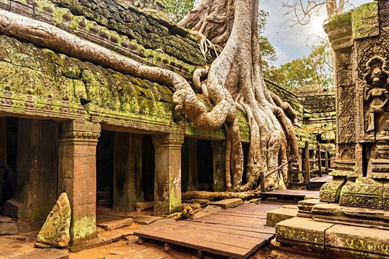 Ta Prohm