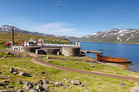Djupavik