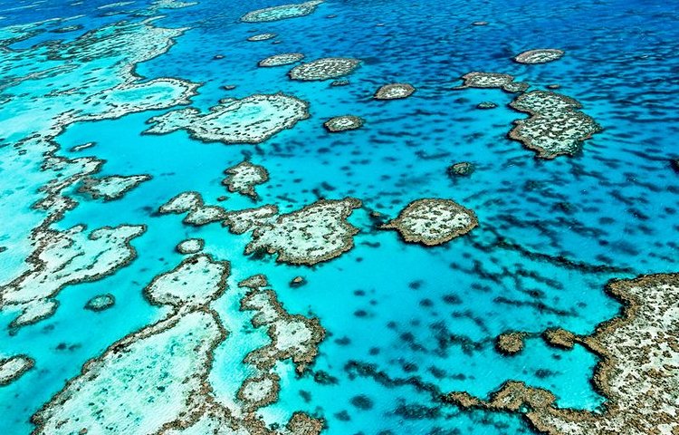 La grande barrière de corail