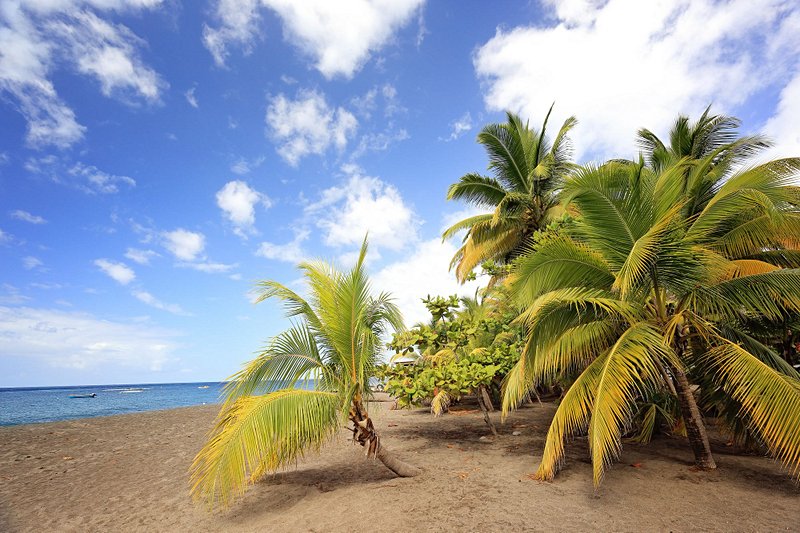 plage Grande Anse du Carbet