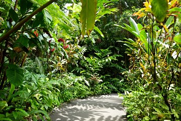 Jardin botanique tropical d'Hawaï
