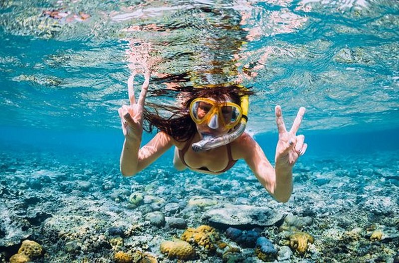 Faire du snorkeling à Champagne reef