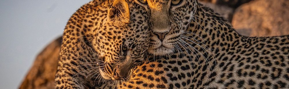 Comment visiter le Serengeti ?