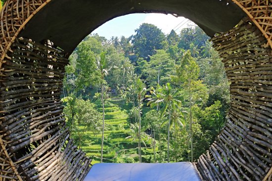 Rizières de Tegallalang