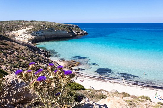 Spiaggia dei Conigli (rabbit beach)