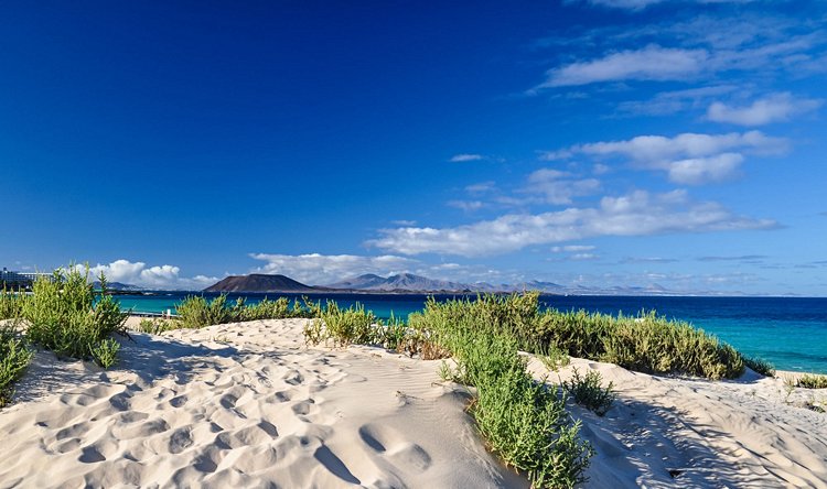 Le parc des dunes de Corralejo 3