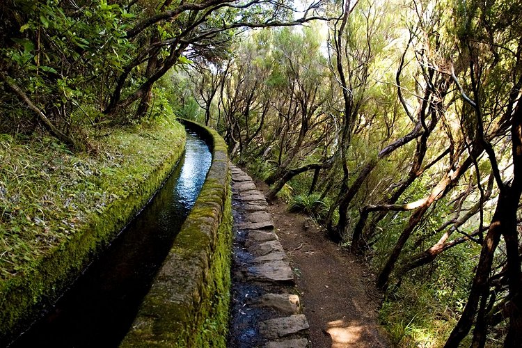 L'idéale PR17 : Caminho do Pinaculo e Folhadal